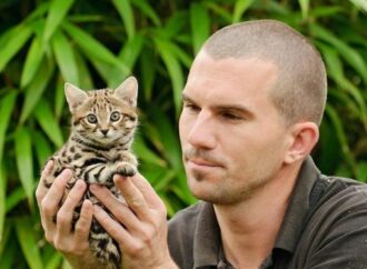 Rusty Spotted Cat for Sale: The Ethical Dilemma of Exotic Pet Trade